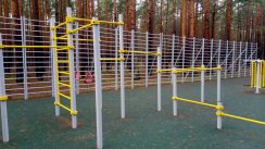 Площадка для воркаута в городе Санкт-Петербург №10447 Средняя Хомуты фото