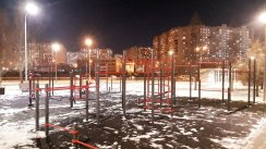 Площадка для воркаута в городе Москва №10507 Средняя Хомуты фото