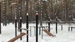 Площадка для воркаута в городе Новосибирск №10514 Маленькая Хомуты фото