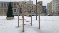 Площадка для воркаута в городе Химки №10521 Маленькая Современная фото