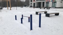 Площадка для воркаута в городе Химки №10523 Маленькая Современная фото