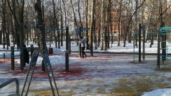 Площадка для воркаута в городе Москва №10540 Большая Современная фото