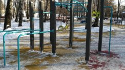 Площадка для воркаута в городе Москва №10540 Большая Современная фото