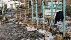 Площадка для воркаута в городе Санкт-Петербург №10625 Средняя Советская фото