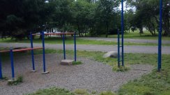 Площадка для воркаута в городе Комсомольск-на-Амуре №10824 Средняя Современная фото