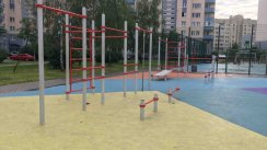 Площадка для воркаута в городе Санкт-Петербург №10847 Большая Хомуты фото