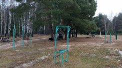 Площадка для воркаута в городе Егорьевск №11101 Маленькая Советская фото