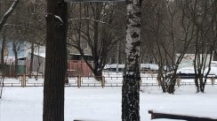 Площадка для воркаута в городе Королев №11168 Маленькая Легендарная фото