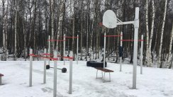 Площадка для воркаута в городе Санкт-Петербург №11280 Маленькая Хомуты фото