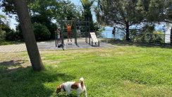 Площадка для воркаута в городе Сочи №11418 Маленькая Современная фото