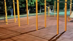 Площадка для воркаута в городе Гомель №11538 Большая Легендарная фото