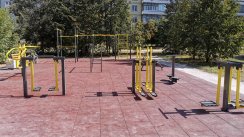 Площадка для воркаута в городе Новосибирск №11553 Маленькая Хомуты фото