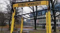 Площадка для воркаута в городе Москва №11590 Средняя Современная фото