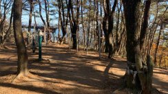 Площадка для воркаута в городе Кодже №11657 Маленькая Советская фото