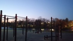 Площадка для воркаута в городе Псков №11770 Средняя Современная фото