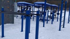 Площадка для воркаута в городе Москва №12263 Большая Современная фото