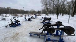 Площадка для воркаута в городе Москва №12264 Большая Современная фото