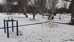 Площадка для воркаута в городе Луганск №12273 Средняя Современная фото