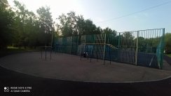 Площадка для воркаута в городе Чехов №12437 Маленькая Советская фото