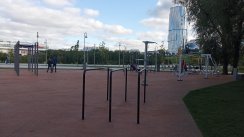 Площадка для воркаута в городе Красногорск №12644 Большая Хомуты фото