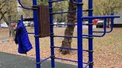 Площадка для воркаута в городе Москва №12674 Маленькая Современная фото