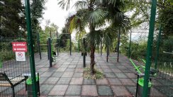 Площадка для воркаута в городе Сочи №12705 Средняя Современная фото