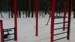 Площадка для воркаута в городе Москва №12738 Средняя Современная фото