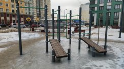 Площадка для воркаута в городе Санкт-Петербург №12759 Средняя Хомуты фото