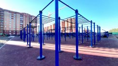 Площадка для воркаута в городе Сергиев Посад №12801 Большая Легендарная фото