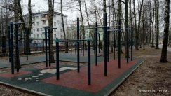 Площадка для воркаута в городе Королев №13037 Большая Хомуты фото