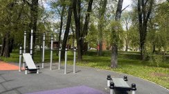 Площадка для воркаута в городе Москва №6409 Большая Хомуты фото