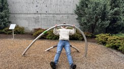 Площадка для воркаута в городе Сиэтл №13176 Маленькая Современная фото