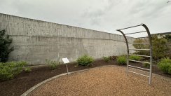 Площадка для воркаута в городе Сиэтл №13176 Маленькая Современная фото