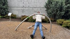 Площадка для воркаута в городе Сиэтл №13176 Маленькая Современная фото