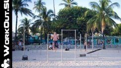 Площадка для воркаута в городе Майами №477 Средняя Легендарная фото