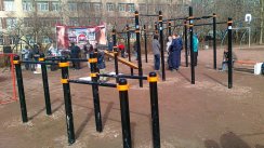 Площадка для воркаута в городе Санкт-Петербург №2073 Средняя Хомуты фото