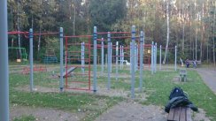 Площадка для воркаута в городе Москва №4368 Большая Хомуты фото