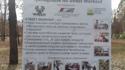 Площадка для воркаута в городе Челябинск №1976 Средняя Современная фото