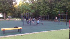 Площадка для воркаута в городе Москва №4796 Средняя Хомуты фото