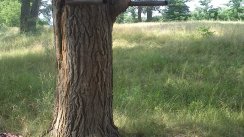 Площадка для воркаута в городе Кременчуг №4905 Маленькая Легендарная фото