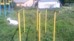 Площадка для воркаута в городе Кишинев №1671 Большая Советская фото