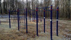 Площадка для воркаута в городе Владимир №2581 Средняя Хомуты фото