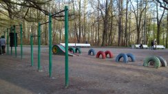 Площадка для воркаута в городе Санкт-Петербург №2867 Средняя Советская фото