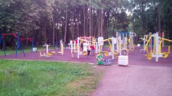 Площадка для воркаута в городе Колпино №4124 Средняя Современная фото
