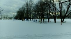 Площадка для воркаута в городе Владимир №4958 Средняя Советская фото