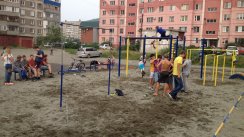 Площадка для воркаута в городе Бийск №5431 Средняя Современная фото