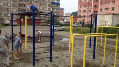 Площадка для воркаута в городе Бийск №5431 Средняя Современная фото