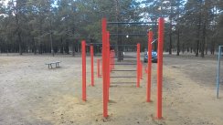 Площадка для воркаута в городе Чита №5099 Средняя Легендарная фото