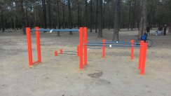 Площадка для воркаута в городе Чита №5099 Средняя Легендарная фото
