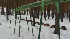 Площадка для воркаута в городе Нижний Новгород №5031 Средняя Советская фото